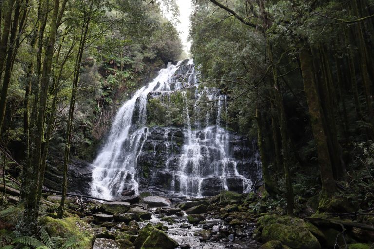 Scenic waterfall along the path of our tours - MTB Tasmania
