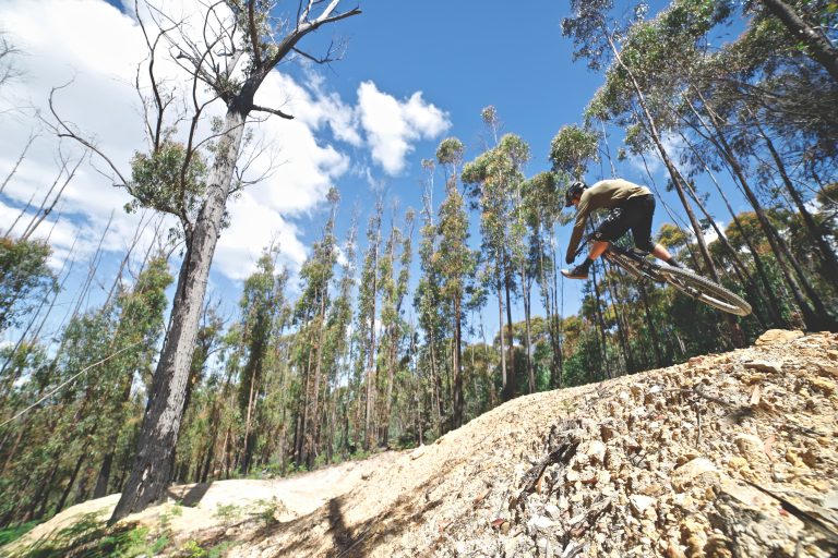 A Shredlys employee shwing his steeze on a jump on Icarus - MTB Tasmania